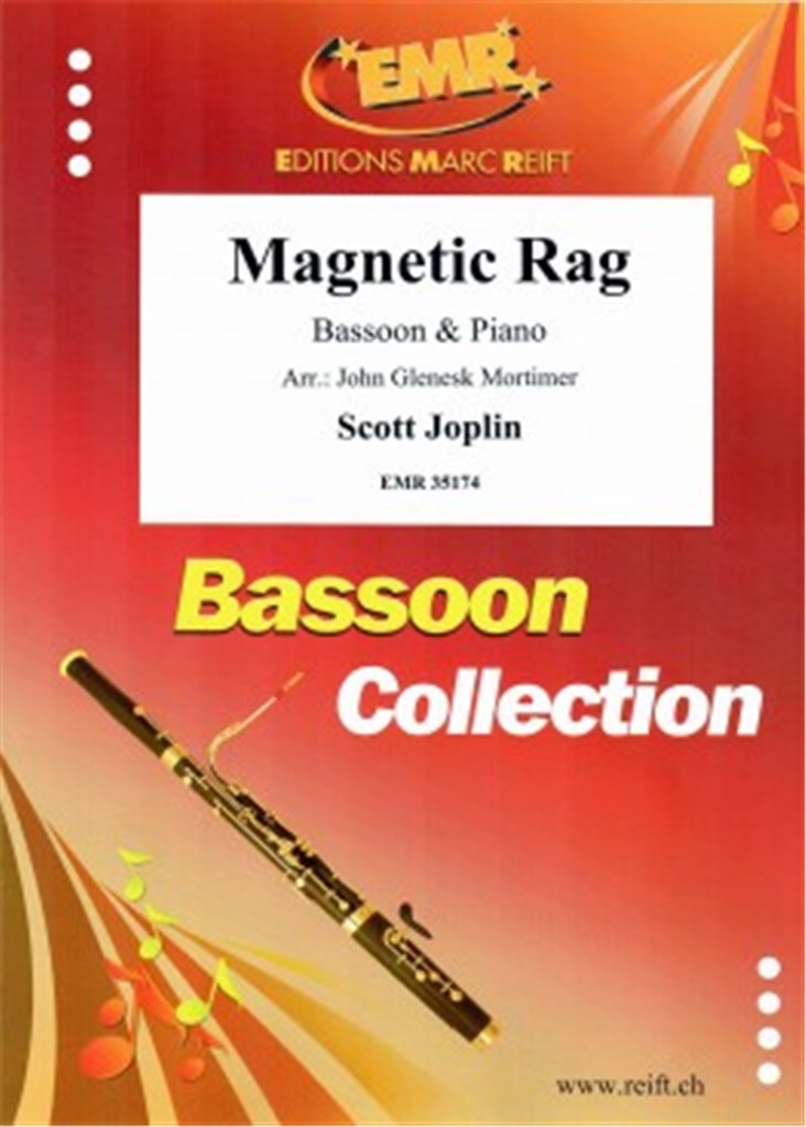 Magnetic Rag